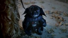 poster-23672-verizon-trick-or-treat-236x132