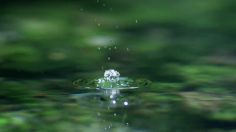 poster-23683-sony-water-rock-236x132