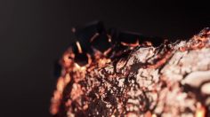 poster-23685-apple-iphone-5s-metal-mastered-236x132