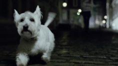 poster-23725-marks-spencer-magic-sparkle-christmas-236x132