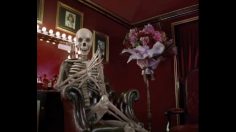 poster-23795-eurostar-business-premier-squelette-236x132