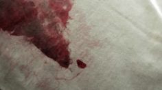 poster-23819-action-contre-la-faim-droits-de-l-homme-justice-for-muttur-236x132