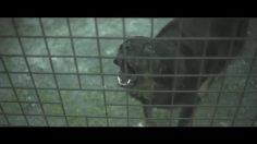 poster-23826-lehning-biomag-agrumes-sounds-of-nature-236x132