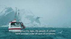 poster-23829-lofoten-fish-cakes-hold-i-torsken-236x132