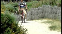 poster-2388-pmu-quinte-les-velos-236x132