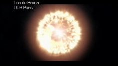 poster-23931-palmares-francais-cannes-2010-2-2010-07-19-236x132