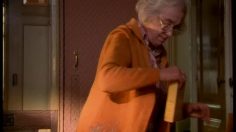 poster-2394-iglo-singing-bird-236x132