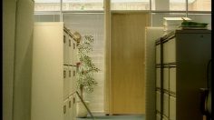 poster-2403-cheerios-femme-de-menage-236x132