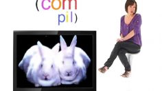 poster-24091-nos-amis-les-lapins-2010-04-05-236x132