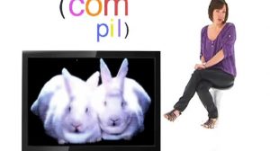 poster-24091-nos-amis-les-lapins-2010-04-05-300x168