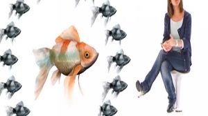 poster-24101-compilation-de-spots-vegetariens-2011-03-20-300x168