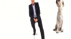 poster-24169-les-discours-marketing-sont-ils-bons-pour-la-sante-de-nos-bebetes-2011-12-04-236x132