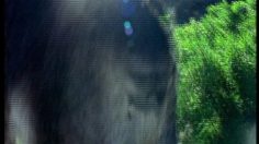 poster-2419-skai-fly-236x132