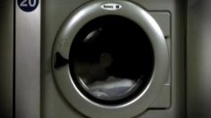 poster-24230-absolut-vodka-washing-machine-236x132