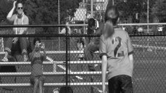 poster-24234-collective-du-lait-support-hat-236x132