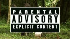 poster-24244-tipp-ex-a-hunter-fucks-a-bear-236x132