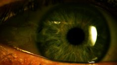 poster-24246-audi-r8-lms-competition-236x132