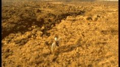 poster-2428-montavit-mineral-water-the-hero-236x132