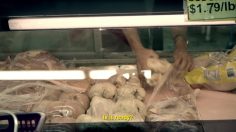 poster-24288-cine-las-americas-mexico-236x132