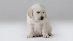 poster-24291-anti-exclusion-appel-aux-dons-major-concerns-236x132