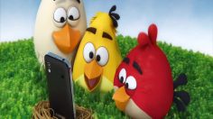 poster-24296-samsung-galaxy-ace-angry-birds-236x132