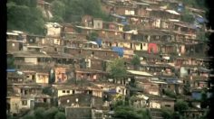 poster-24305-ing-the-chase-236x132