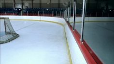 poster-24319-familiprix-drugstores-hockey-236x132