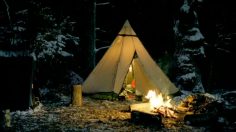 poster-24352-interflora-tent-236x132