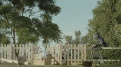 poster-24353-hornbach-screws-236x132