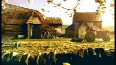 poster-2436-zurich-cochons-volants-236x132