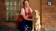 poster-24368-beijer-byggmaterial-the-dog-flap-236x132