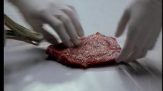 poster-2437-amnesty-international-barbecue-236x132