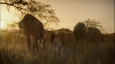 poster-24378-assicurazioni-generali-nice-life-236x132