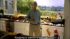 poster-24381-kaupthing-kaupthing-rebranding-campaign-236x132