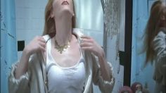 poster-24391-protection-environnement-proprete-dublin-if-it-looks-like-a-duck-236x132