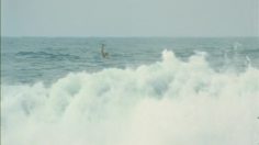 poster-24396-protection-sante-don-d-organes-the-drowning-236x132