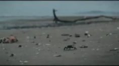 poster-24398-protection-environnement-journees-nettoyage-des-plages-the-glove-236x132