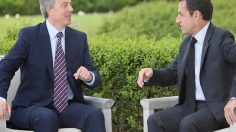 poster-24411-protection-animaux-leaders-236x132