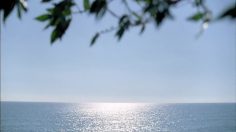 poster-24421-protection-femmes-violences-conjugales-anne-leroy-236x132