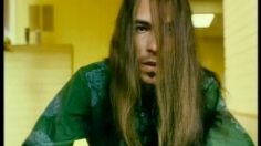 poster-245-kellogg-s-raisin-bran-crunch-haircut-236x132