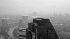 poster-24541-budweiser-celebrate-as-one-236x132