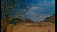 poster-24565-royal-canin-aliment-complet-le-berger-allemand-236x132