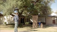 poster-24587-doritos-time-machine-236x132