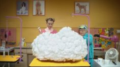 poster-24592-skittles-groomer-236x132