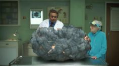 poster-24596-skittles-vet-236x132