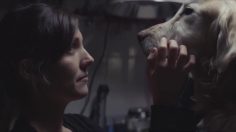 poster-24604-chevrolet-maddie-236x132