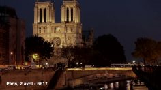 poster-24611-haribo-croco-2-nouveaux-crocos-debarquent-236x132