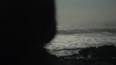 poster-24626-labrot-graham-shower-236x132