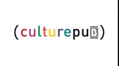 poster-24646-les-pubs-americaines-de-l-annee-2009-01-05-236x132