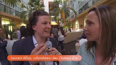 poster-24650-des-chatons-2014-06-01-236x132